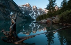 Read more about the article 2023 A NEW ADVENTURE